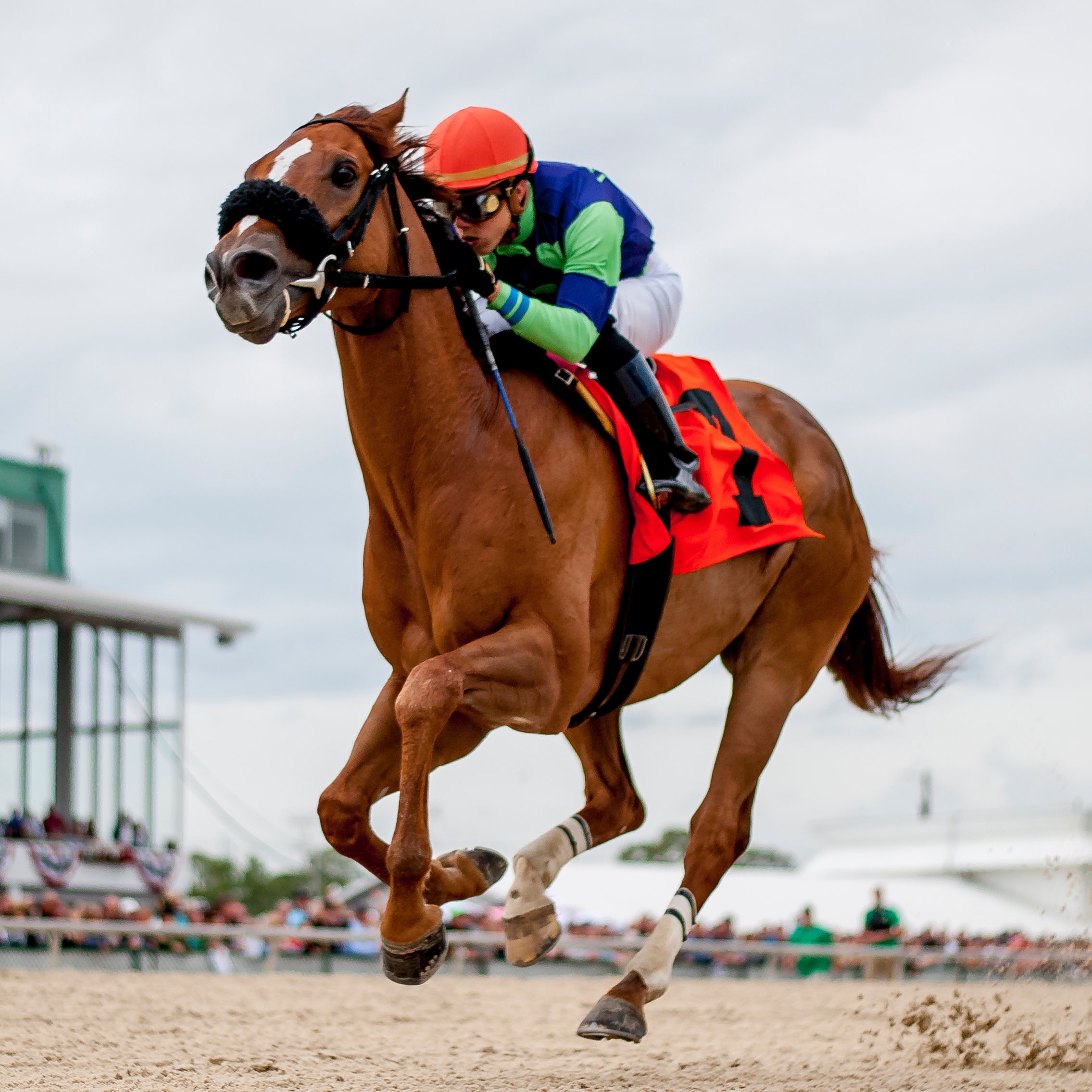 Photo: jose ortiz kentucky derby