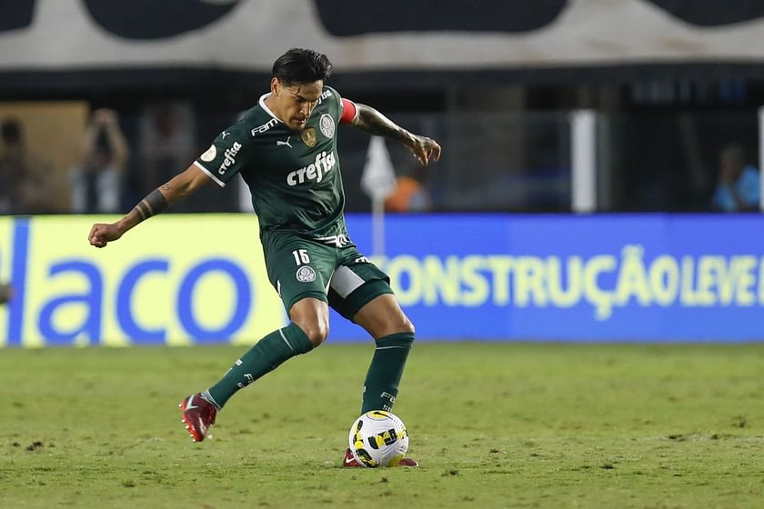 Photo: botafogo vs palmeiras prediction