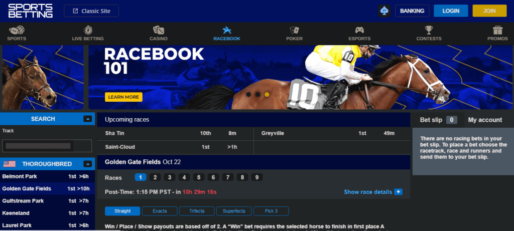 Photo: horse betting sites