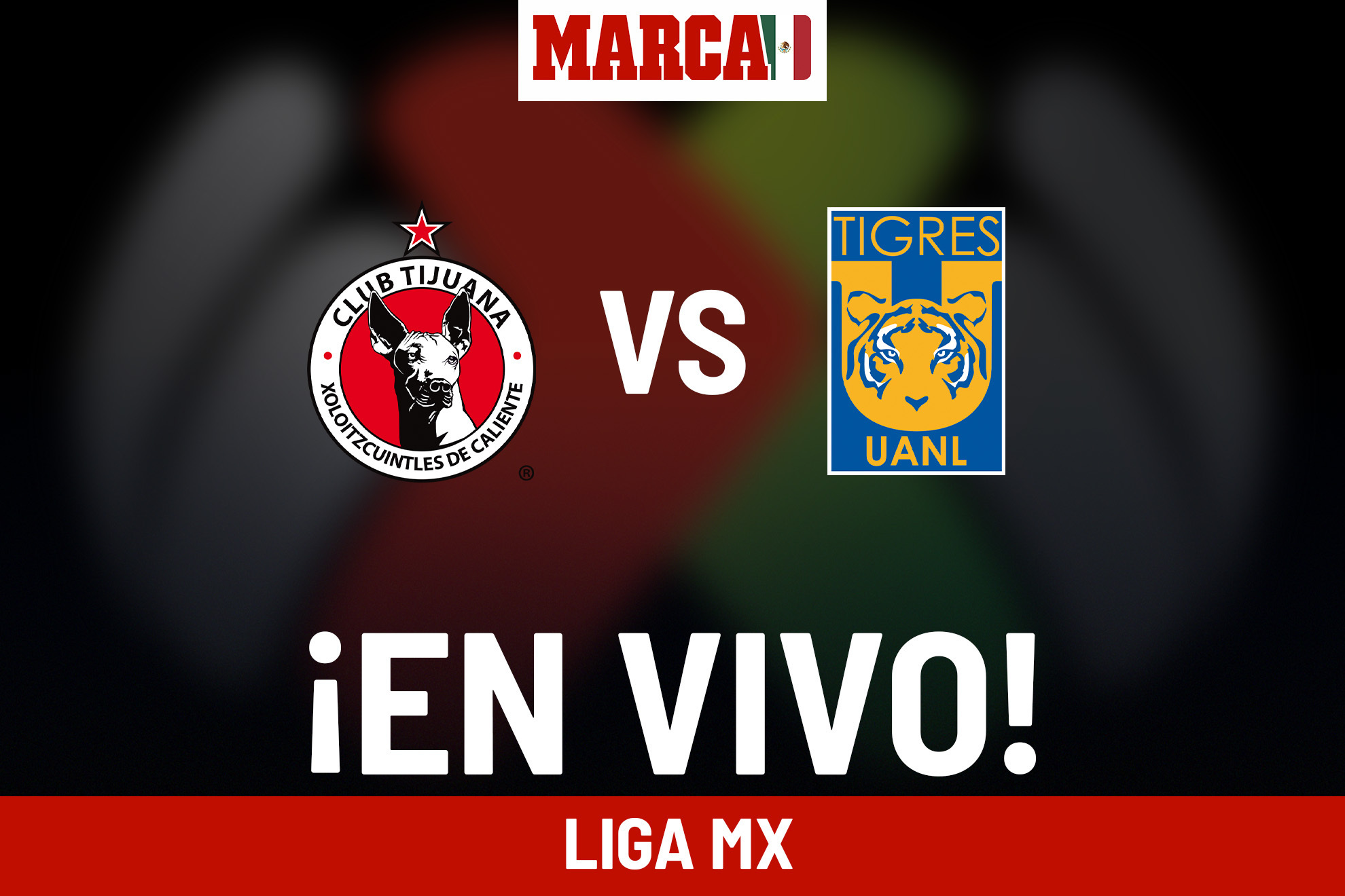 Photo: tigres vs tijuana live stream