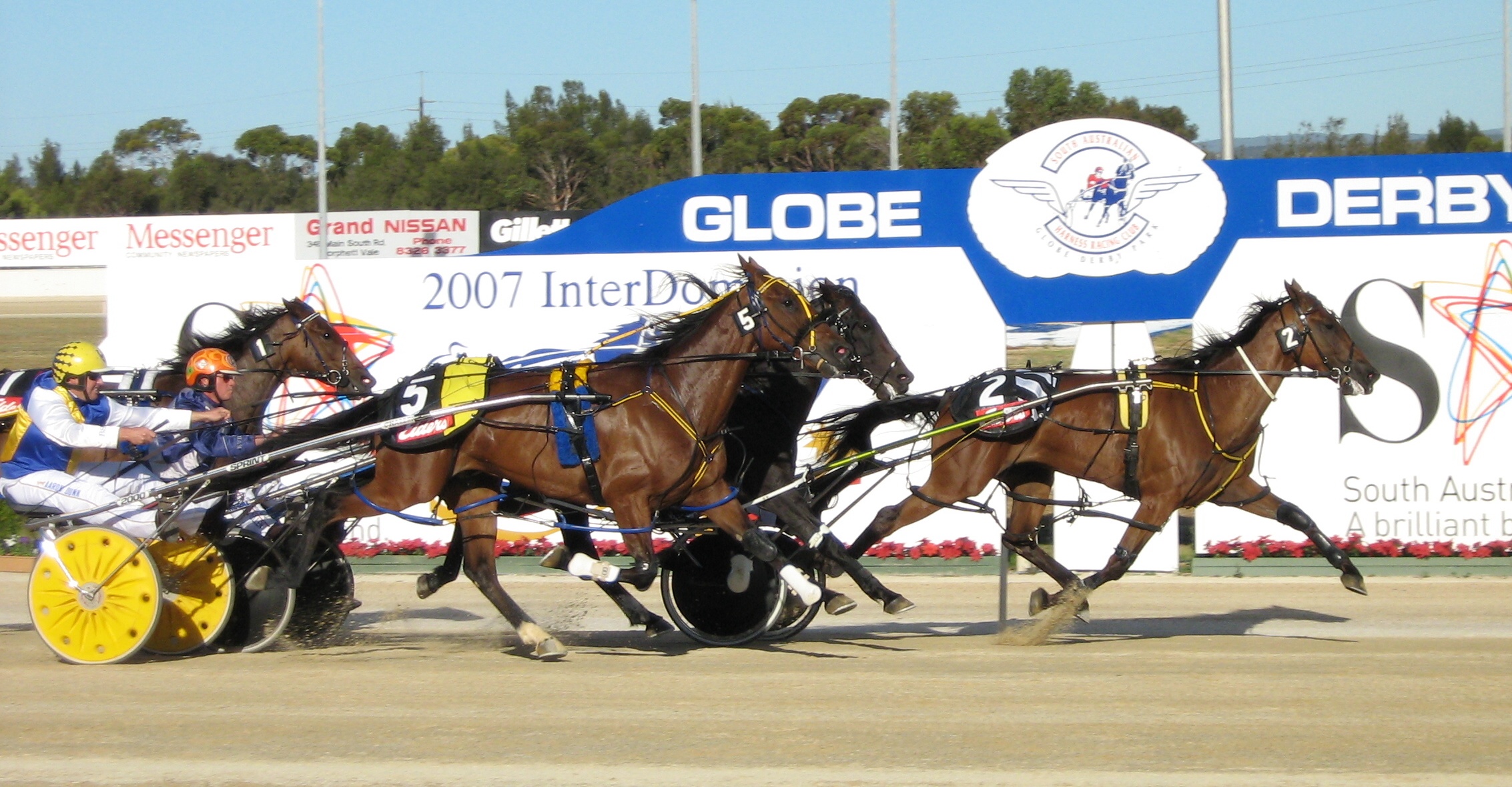 Photo: australia b horse racing