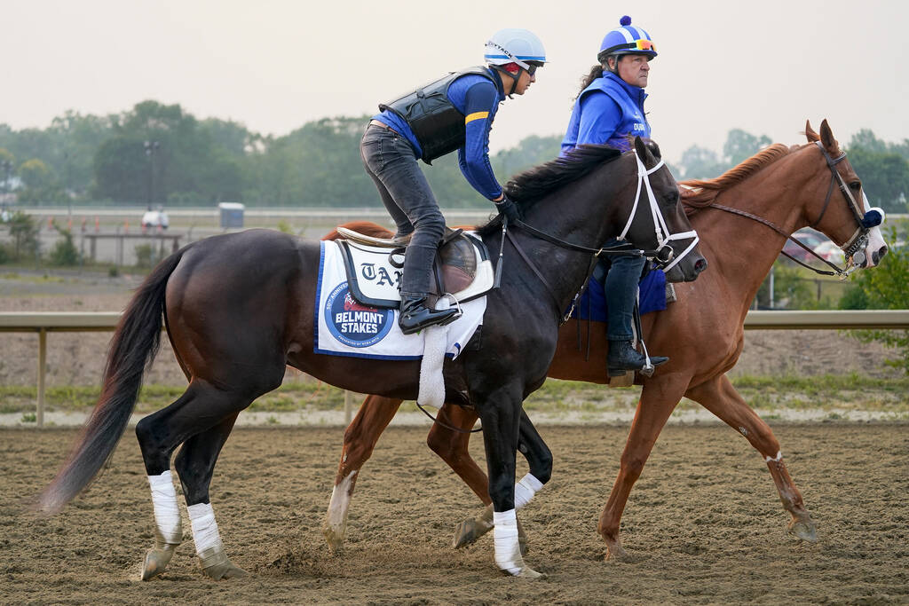 Photo: belmont race betting