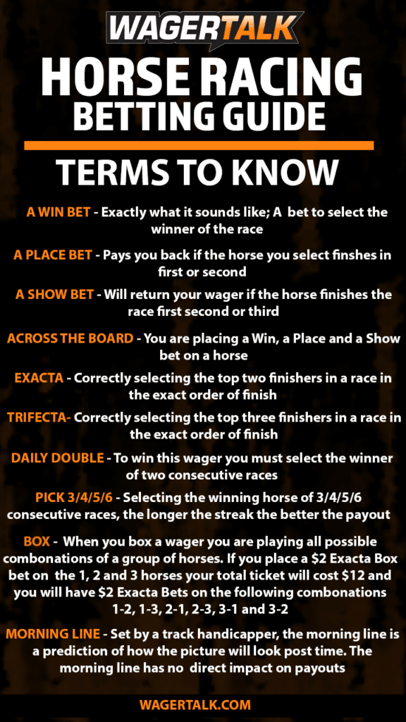 Photo: horse racing glossary
