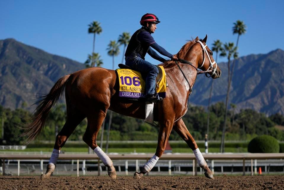 Photo: breeders cup expert picks