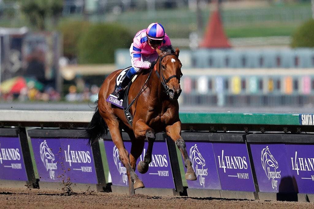 Photo: breeders cup favorites