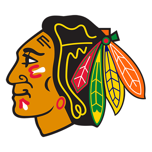 Photo: chicago blackhawks stats