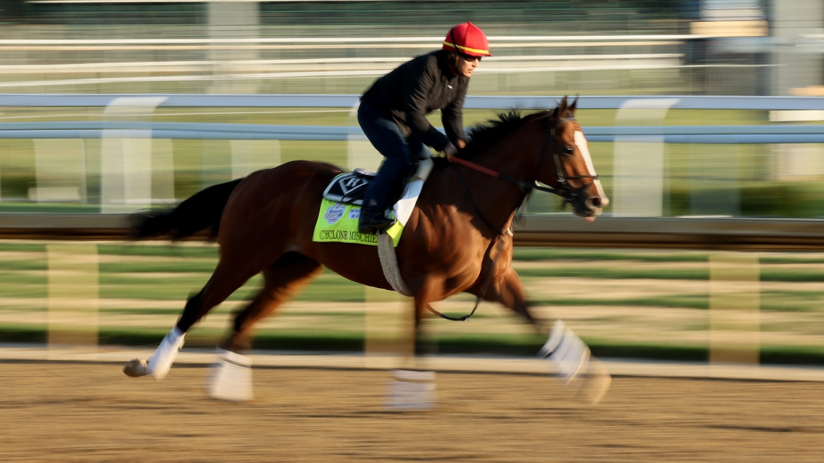 Photo: cyclone mischief horse odds