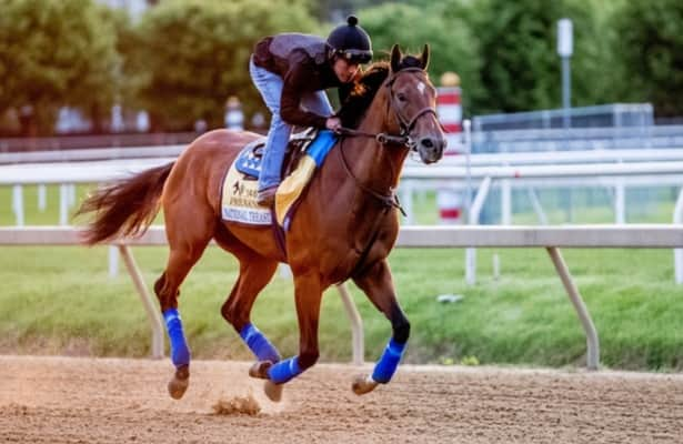 Photo: national treasure odds preakness