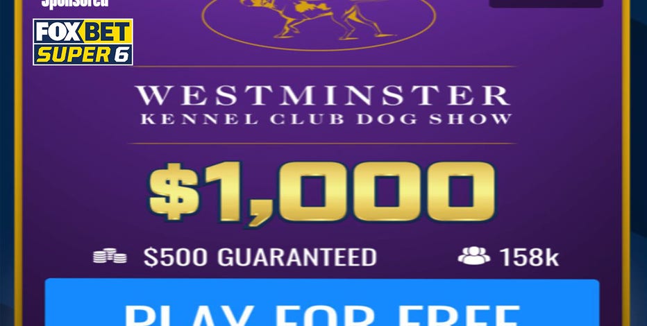 Photo: dog show betting