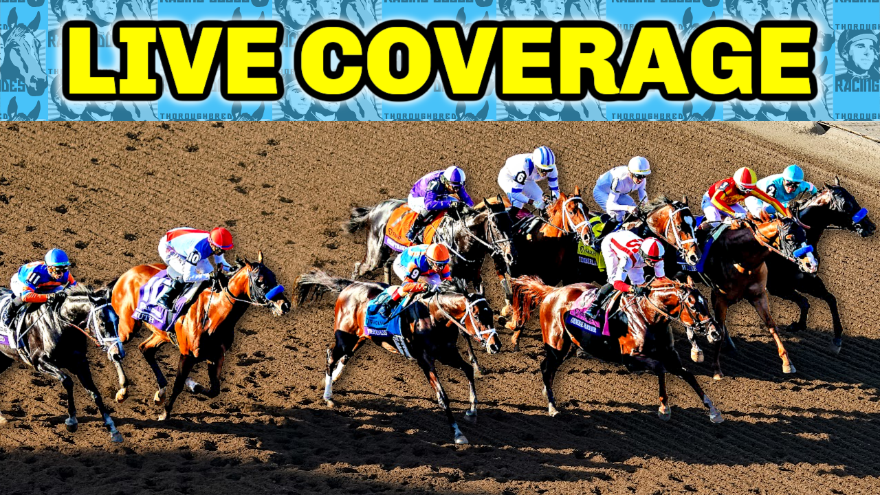 Photo: gulfstream park live odds