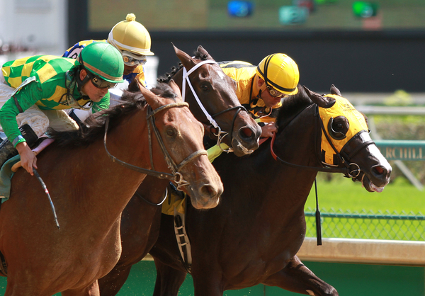 Photo: horse racing pick 3