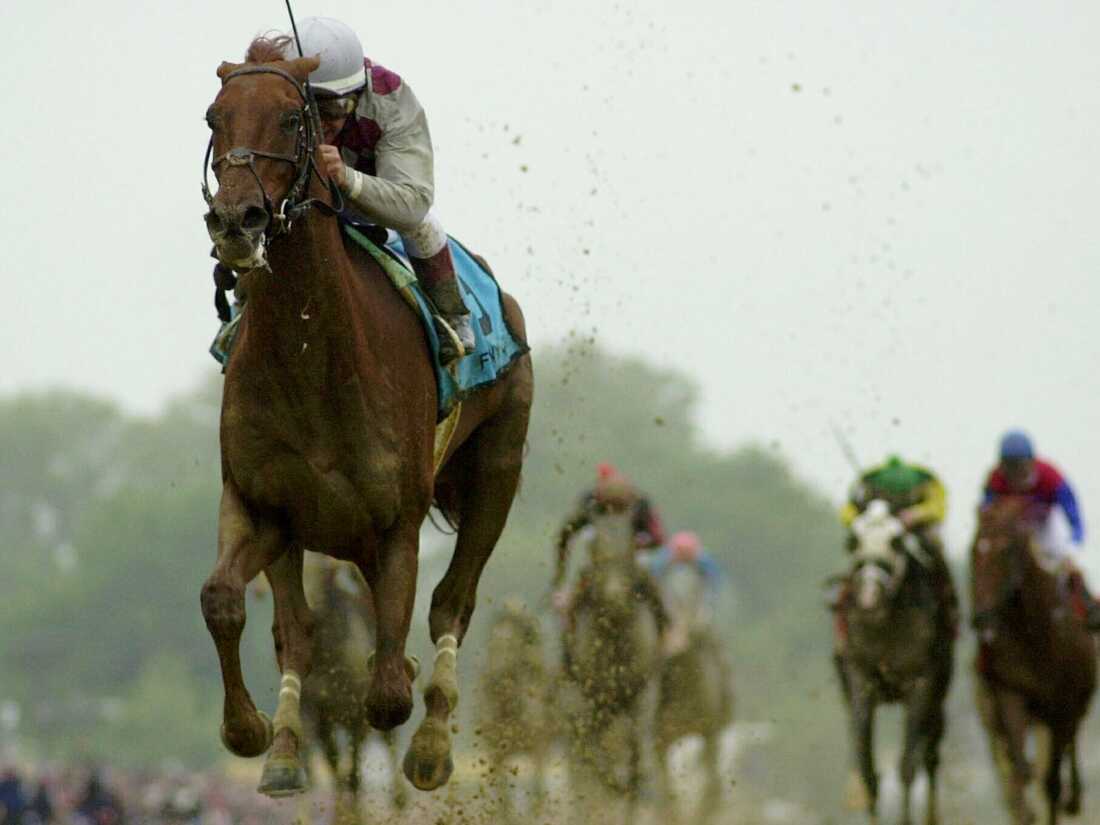 Photo: horse that almost won triple crown