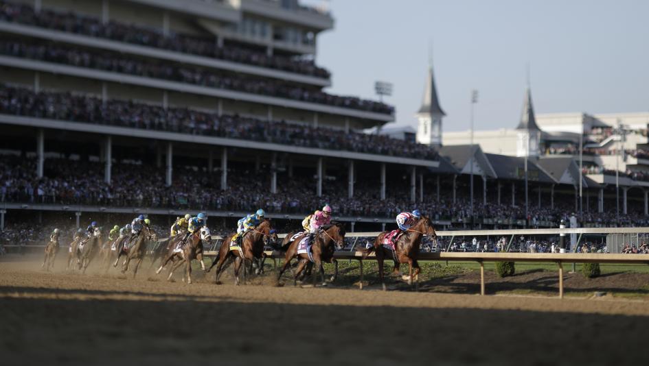 Photo: horse tracks in united states