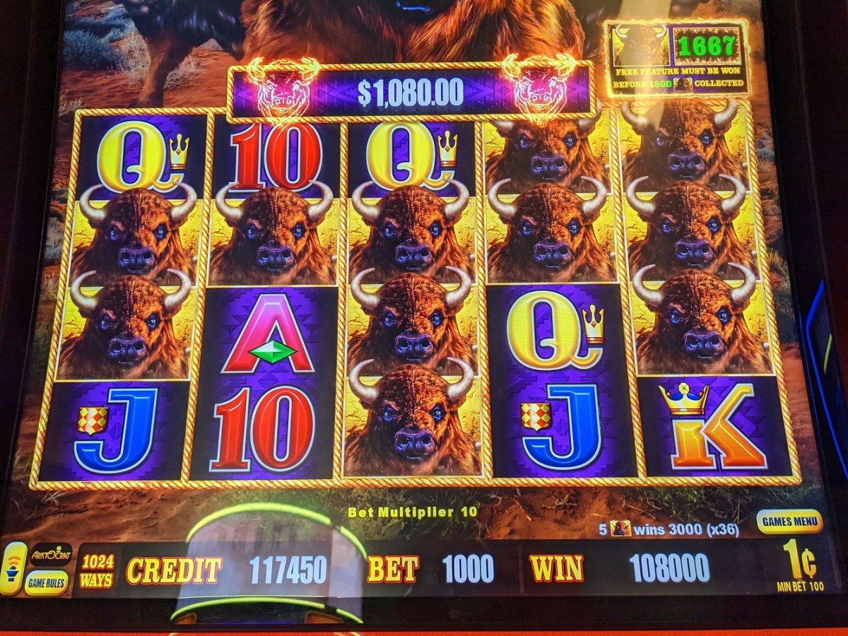 Photo: how to play buffalo slot machine