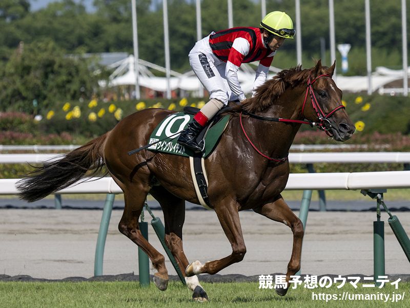 Photo: japan horse racing picks