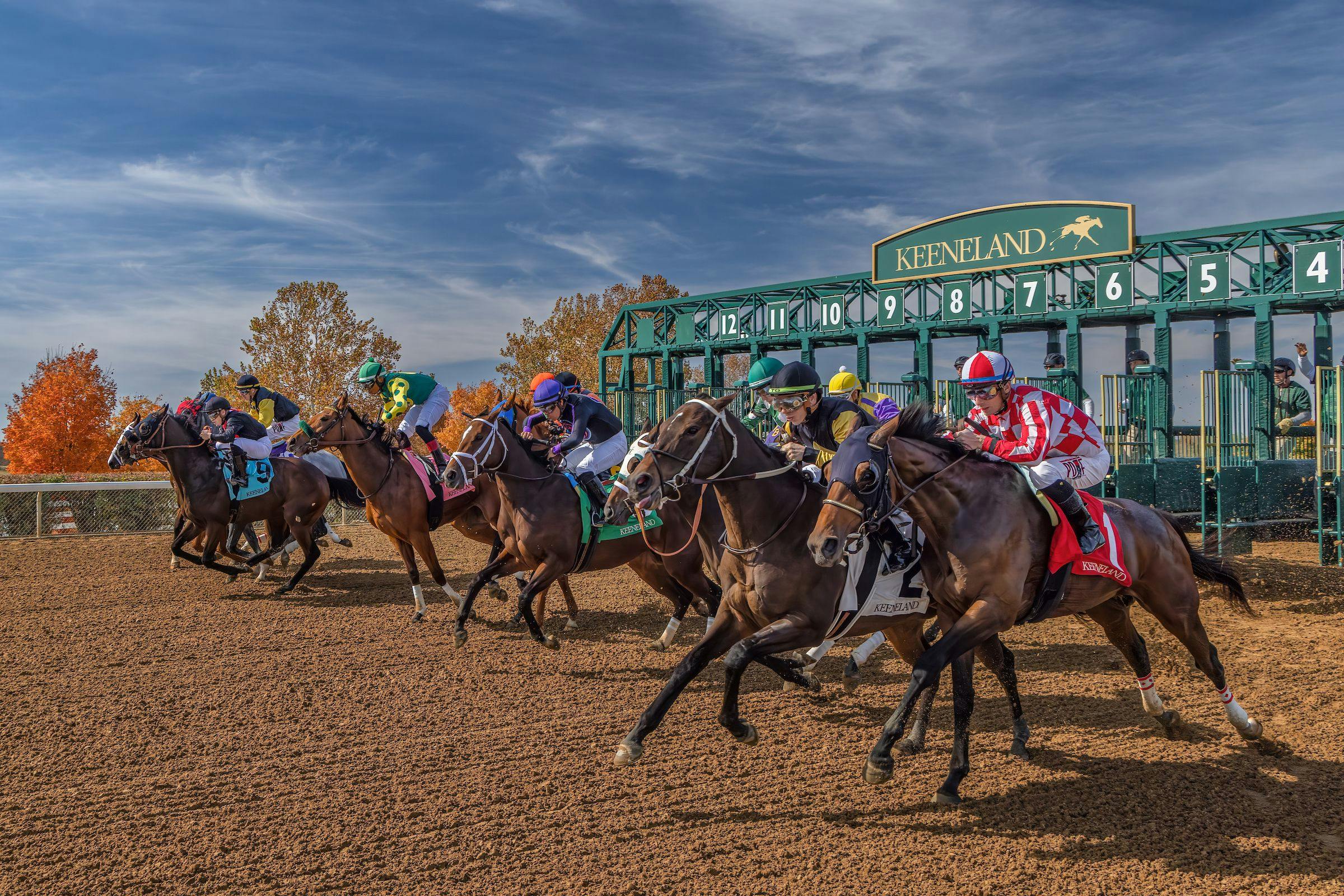 Photo: keeneland horse racing betting odds