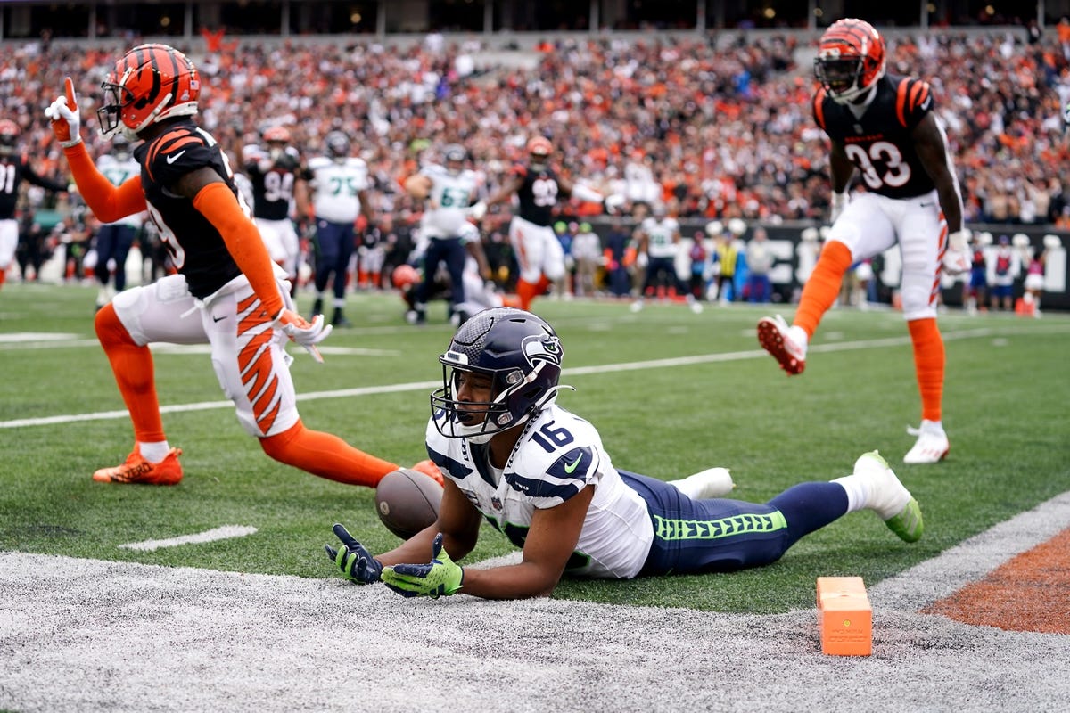 Photo: lions vs bears player props