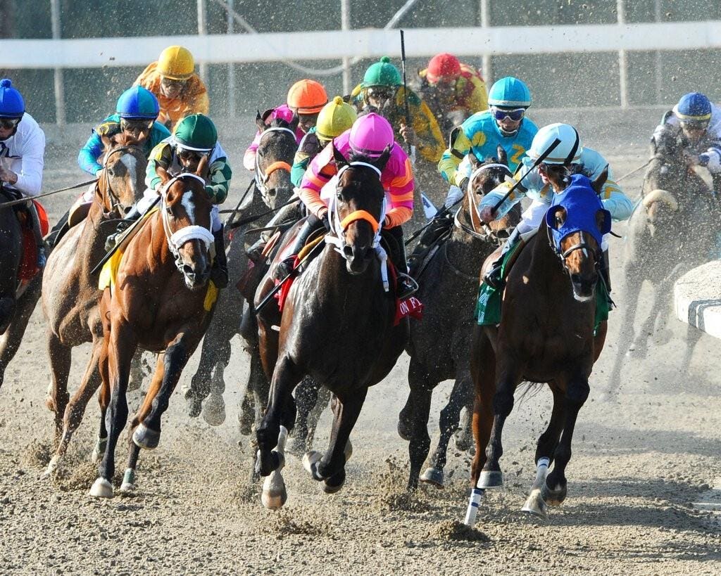 Photo: louisiana derby odds