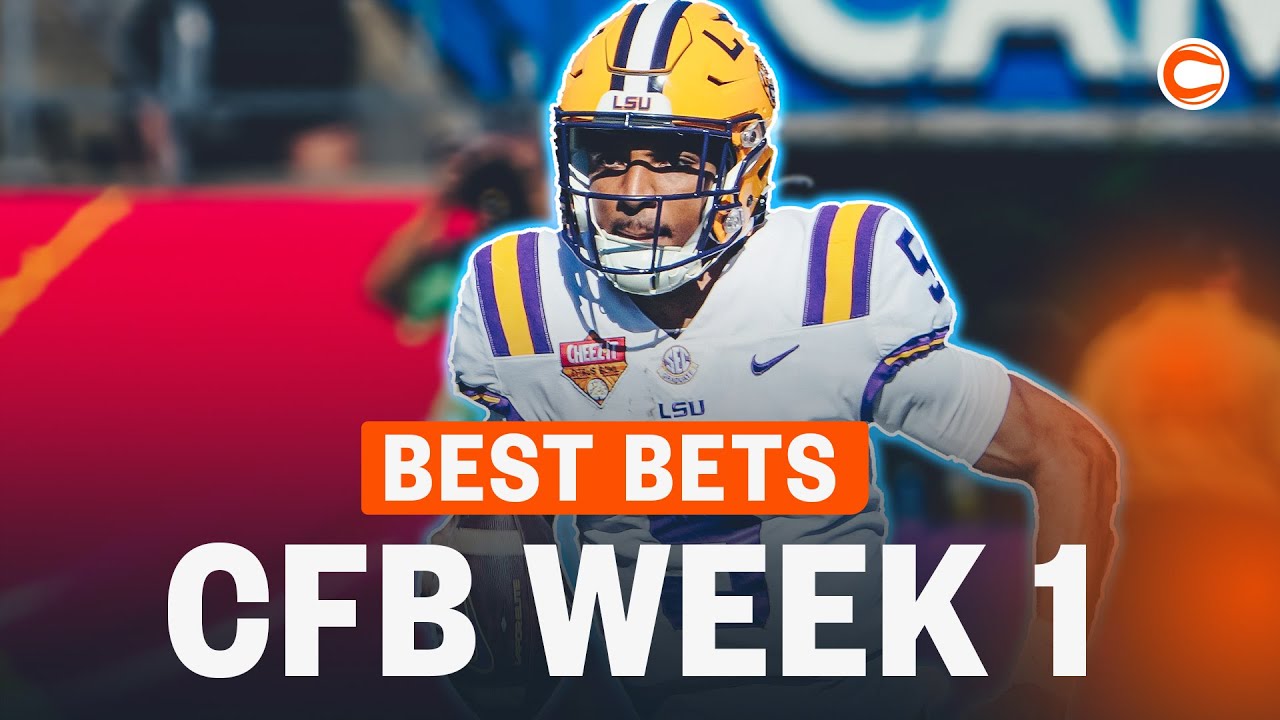 Photo: lsu florida state betting