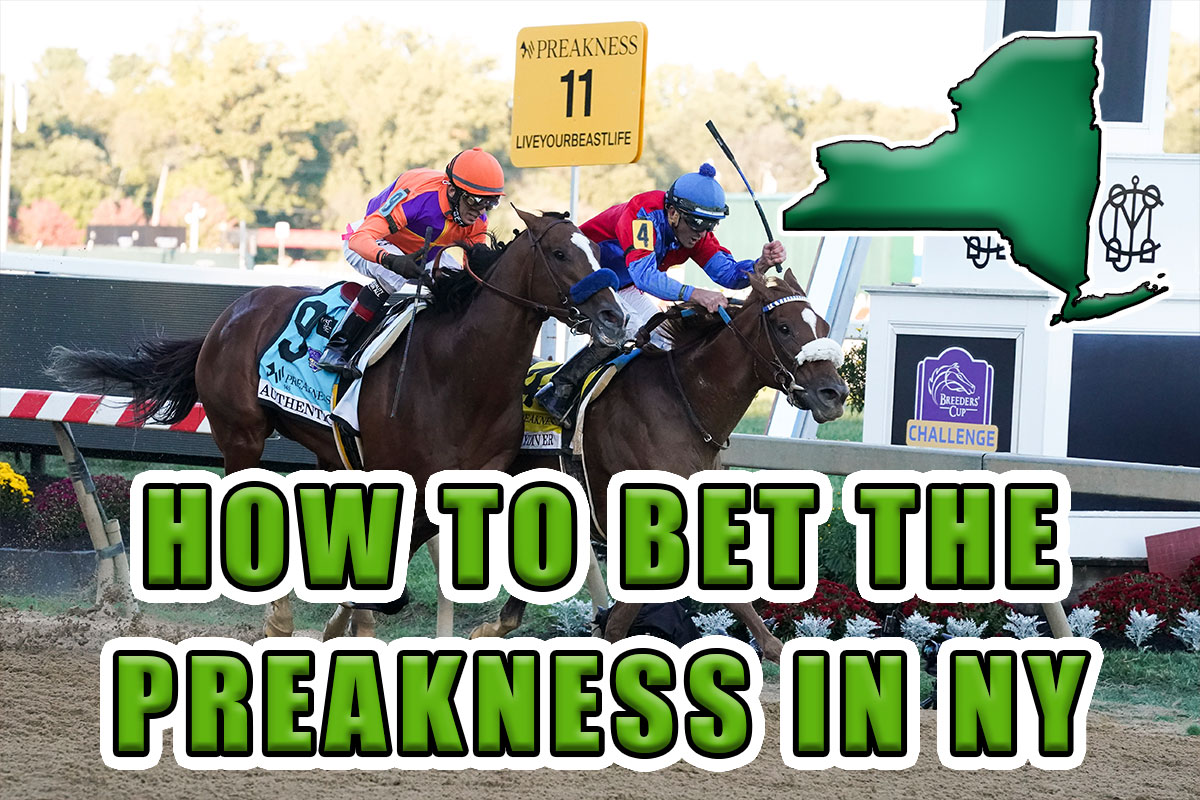 Photo: online betting preakness