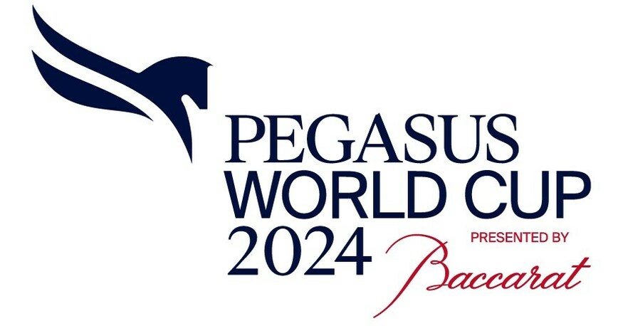 Photo: pegasus cup