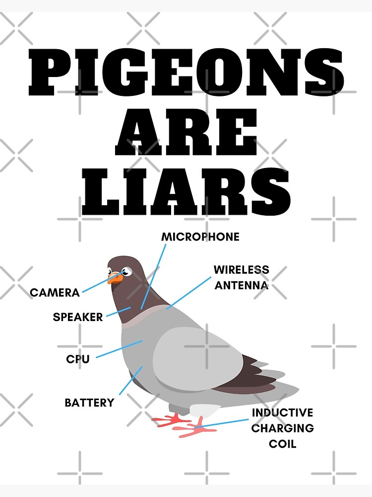 Photo: pigeons are fake