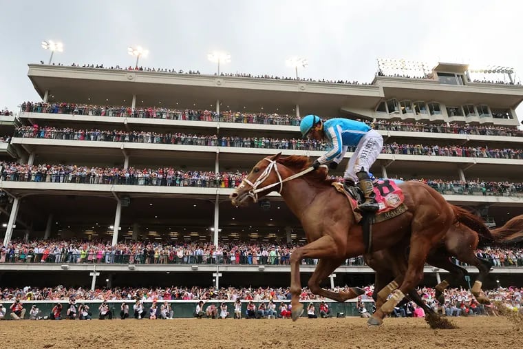 Photo: pimlico odds