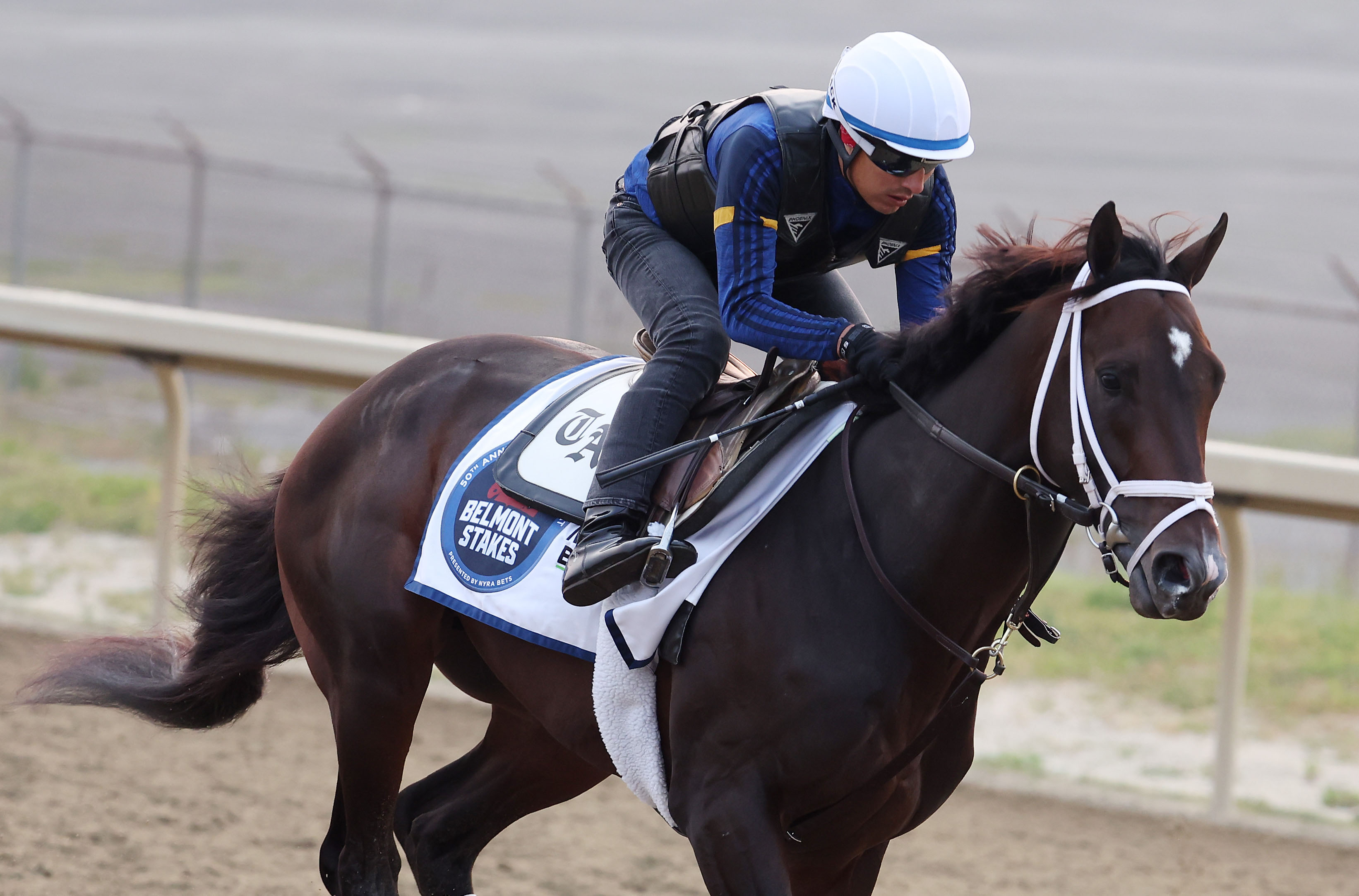 Photo: predictions for belmont stakes