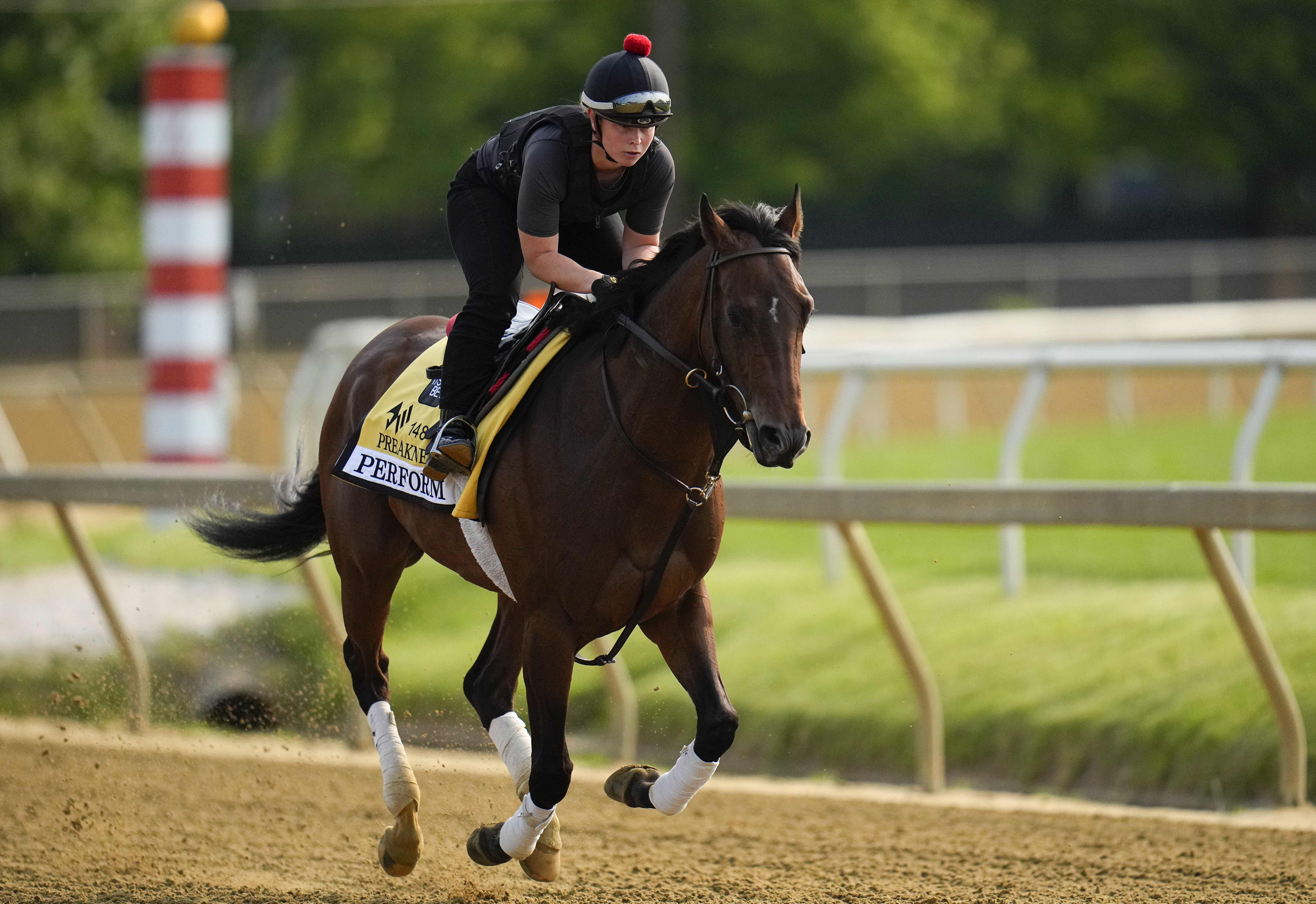 Photo: predictions for the preakness