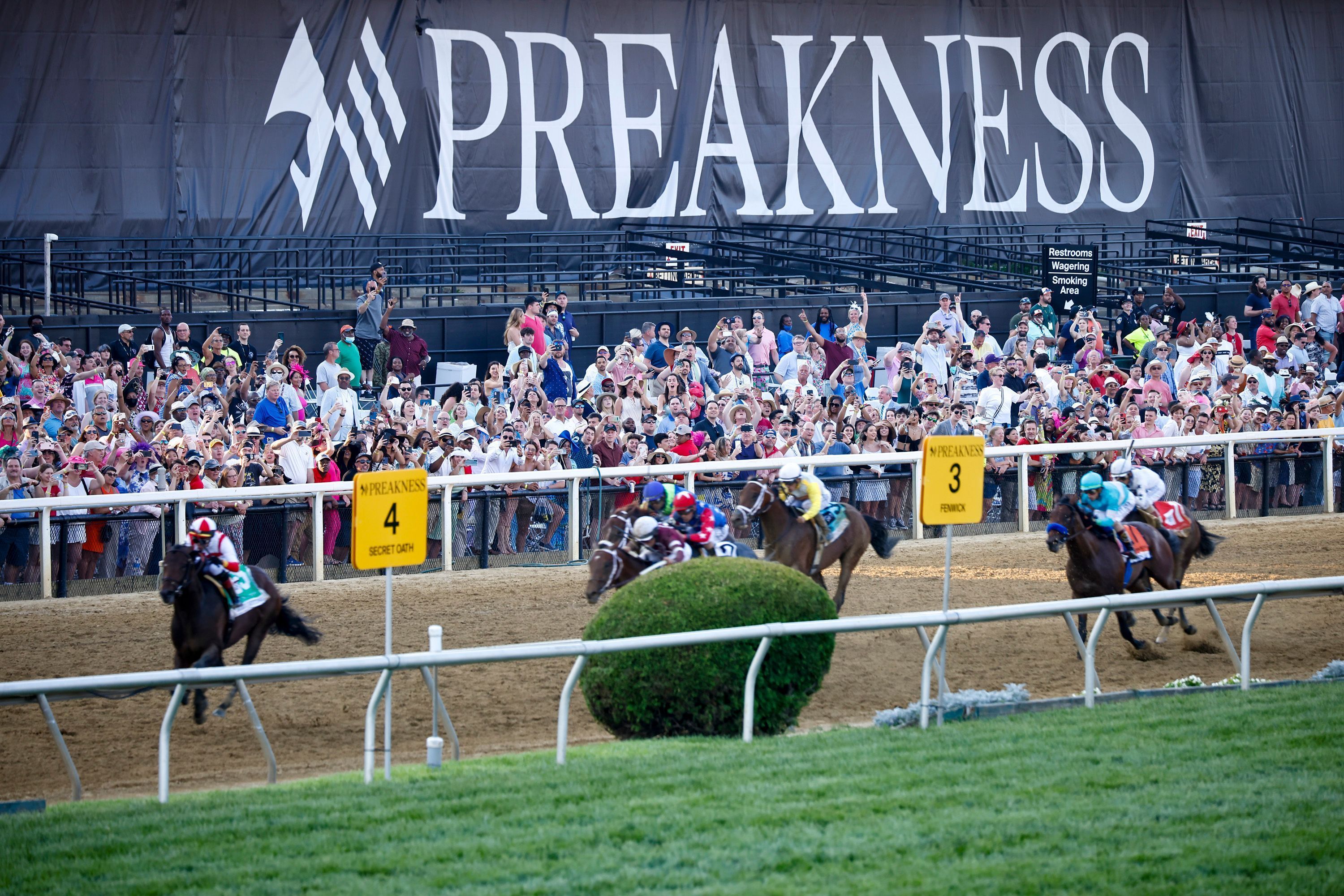 Photo: predictions for the preakness