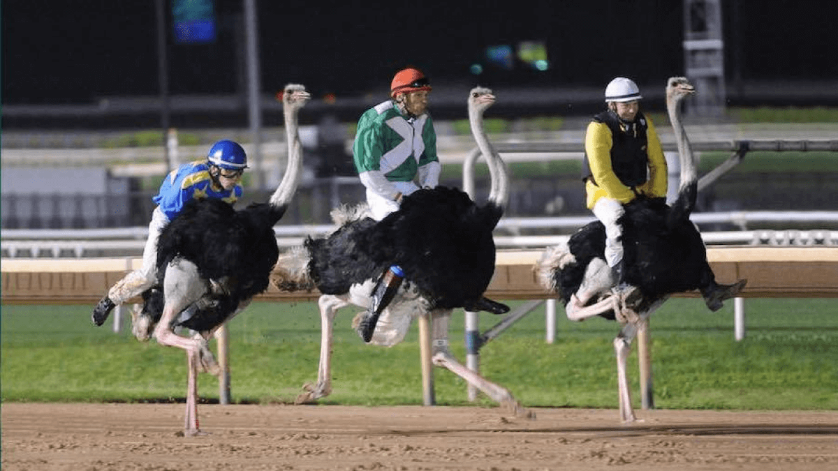 Photo: strange sports in the world