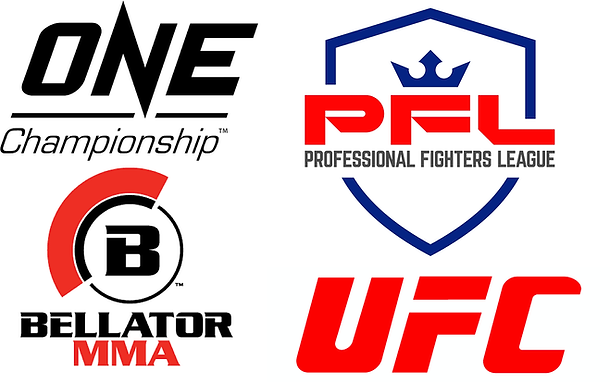 Photo: top mma organizations