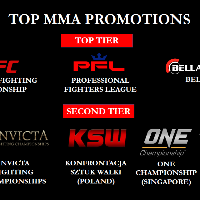 Photo: top mma organizations