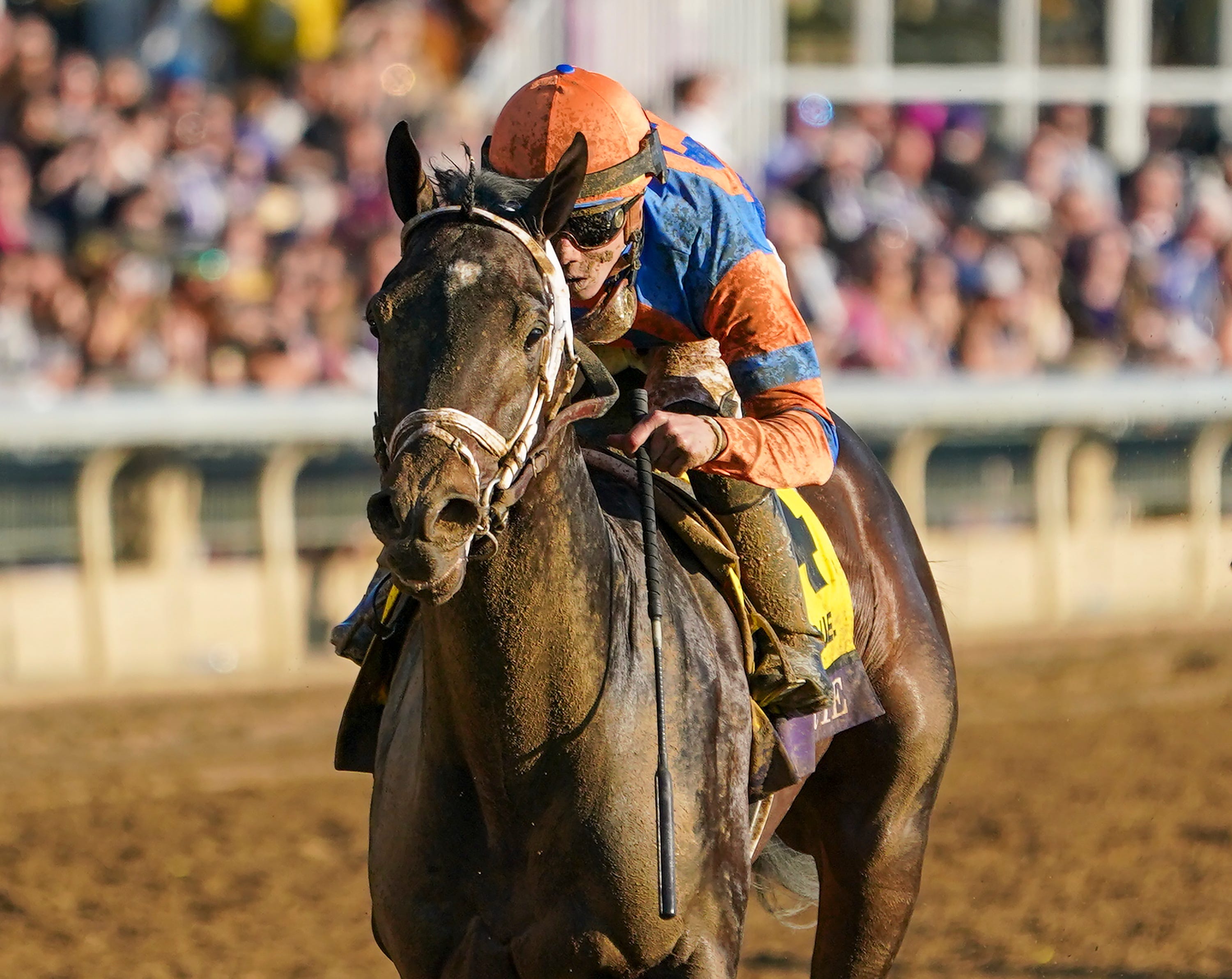 Photo: travers stakes odds