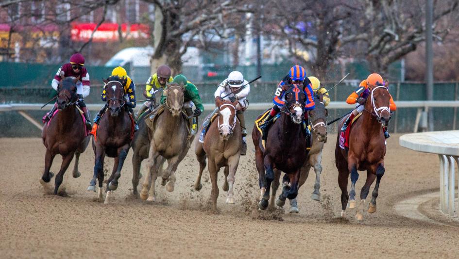 Photo: vosburgh stakes