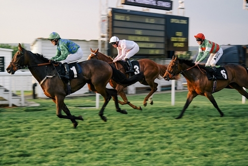 Photo: what are the three triple crown races