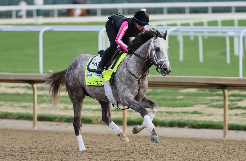 Photo: which horse is favored in the kentucky derby