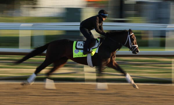 Photo: which horse is favored in the kentucky derby